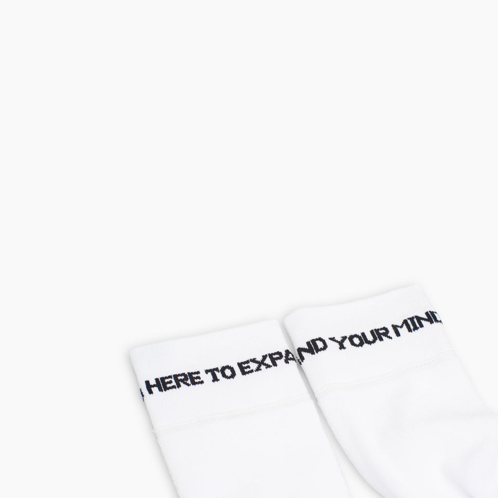 Reverse Terry Sock (White)